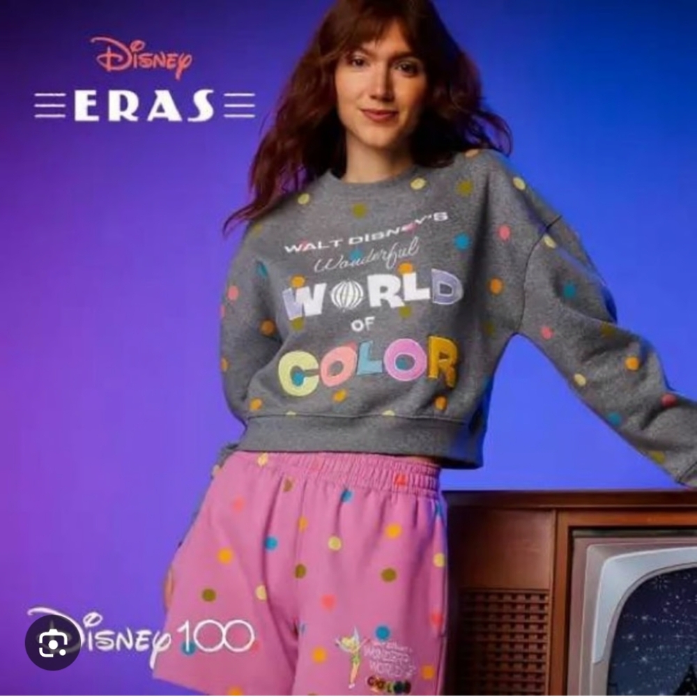 Disney100 Wonderful World Of Color Pullover Sweatshirt, Sz   L.